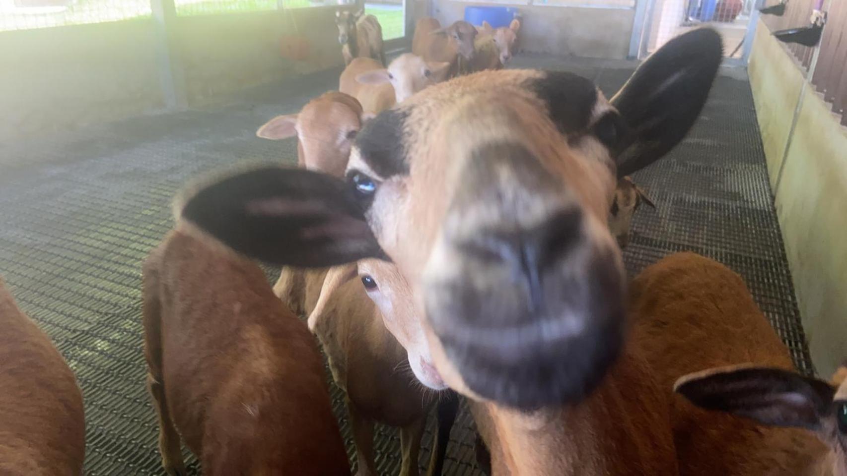 River Forest Leisure Farm Dongshan  Exteriör bild