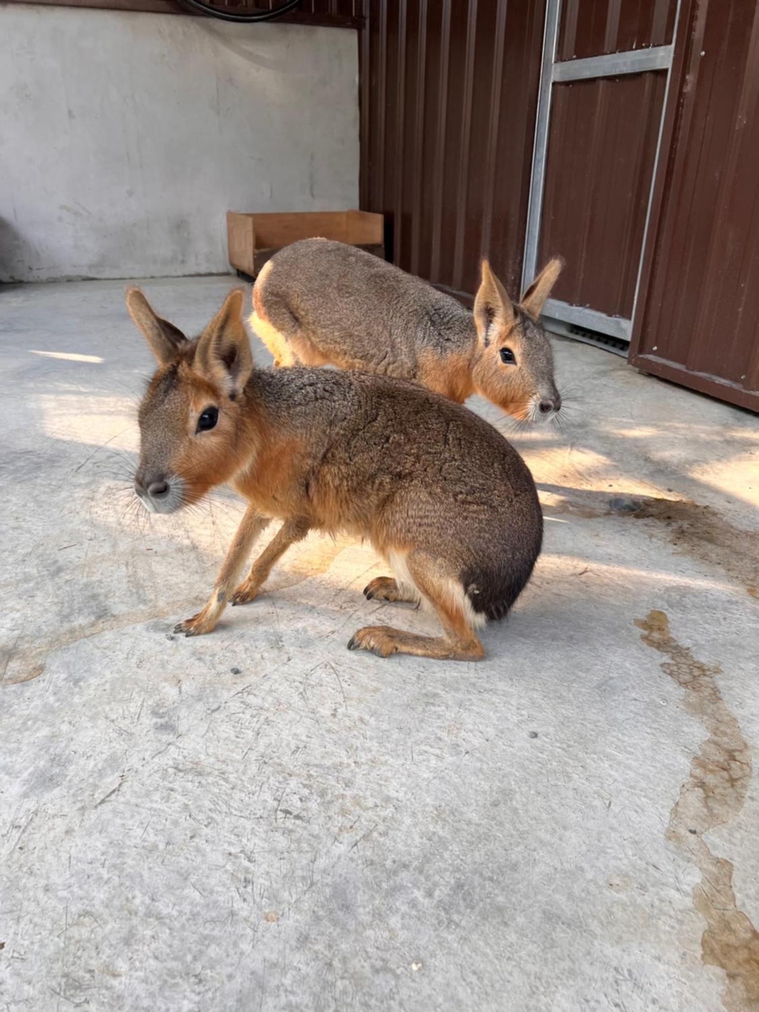 River Forest Leisure Farm Dongshan  Exteriör bild