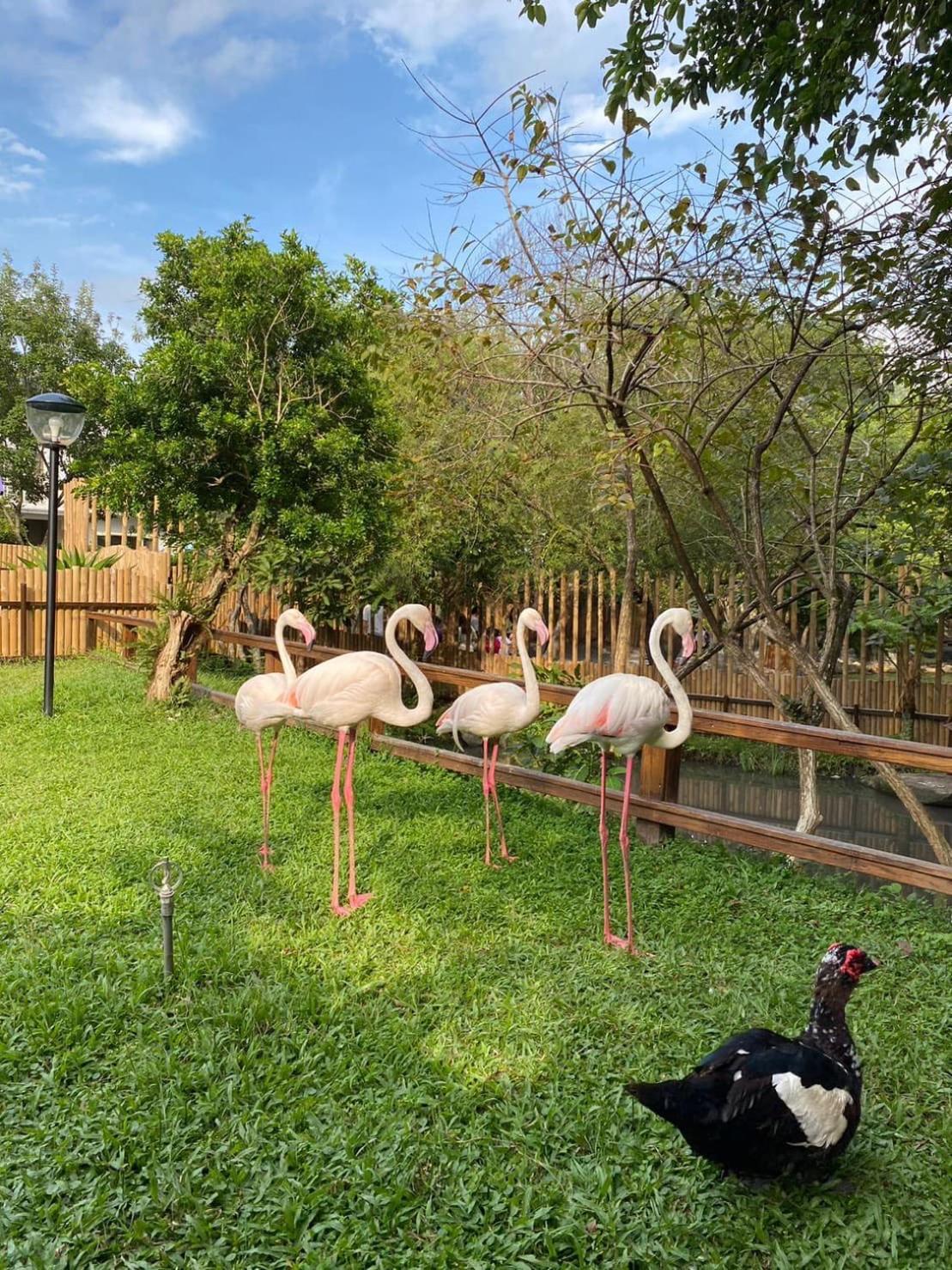 River Forest Leisure Farm Dongshan  Exteriör bild