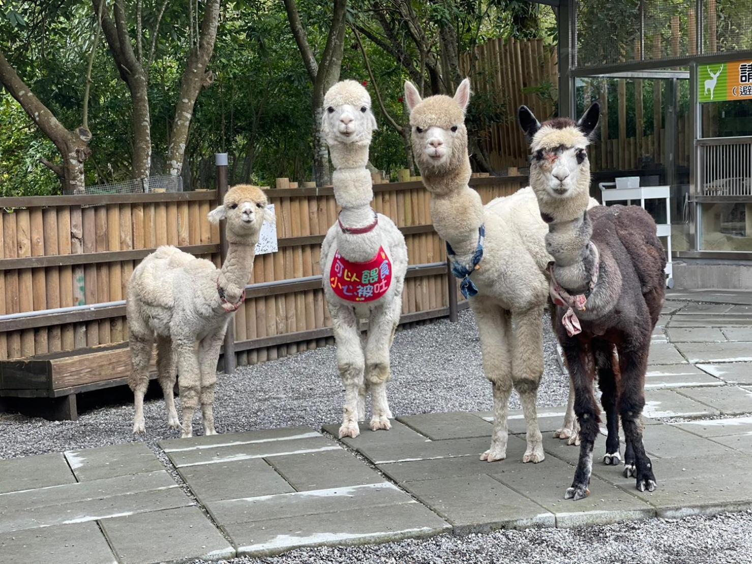 River Forest Leisure Farm Dongshan  Exteriör bild