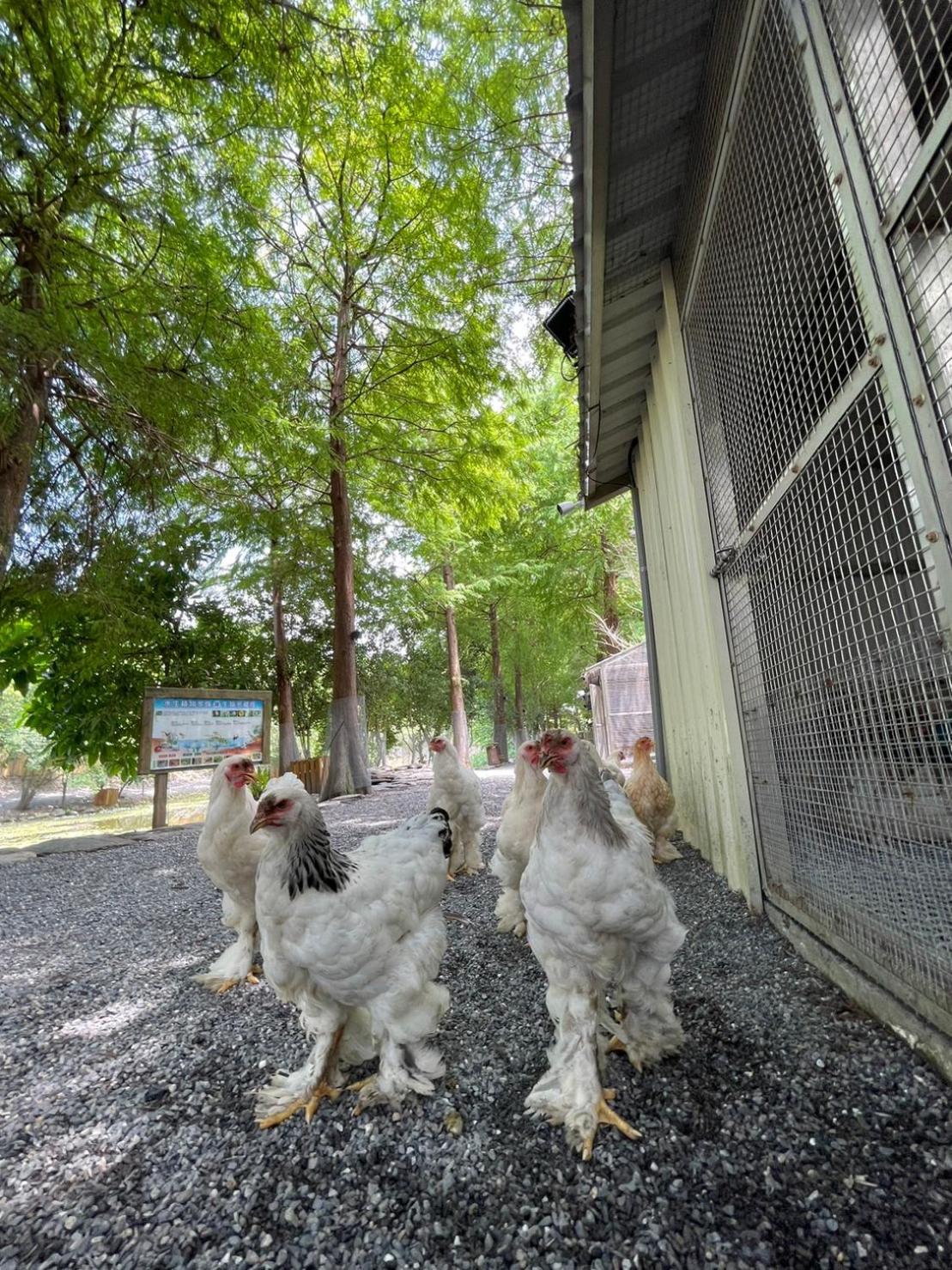 River Forest Leisure Farm Dongshan  Exteriör bild